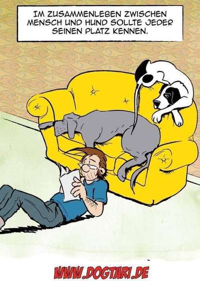 Hunde Memes-Beitrag-Bild