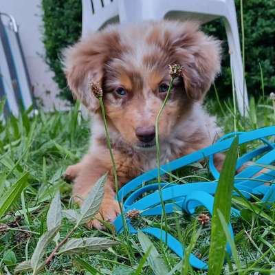 Barbara's Profilbild
