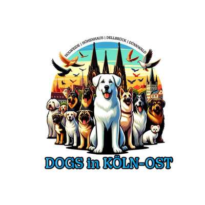 Titelbild Gruppe Dogs in Köln-Ost: Holweide, Dünnwald, Höhenhaus, Dellbrück und Umgebung