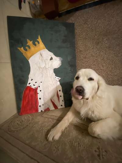 Zeichnungen Eurer Hunde !?-Beitrag-Bild