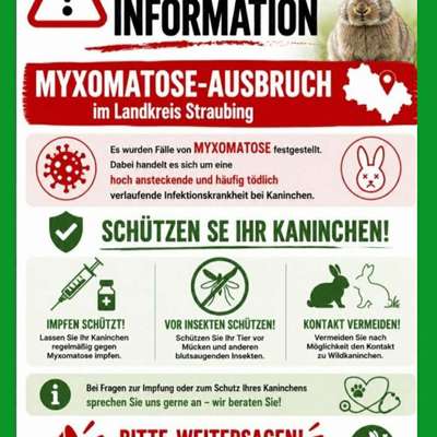 Giftköder-Myxomatose und Feldhasensterben-Bild