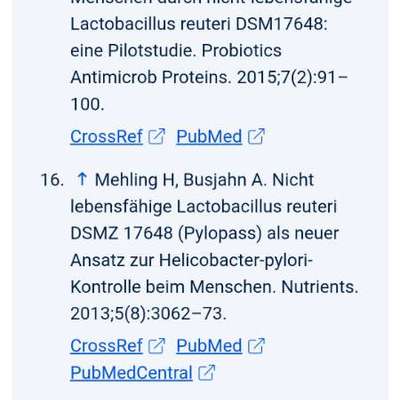 Internistischer Tierarzt mit Erfahrung bei Helicobacter gesucht-Beitrag-Bild