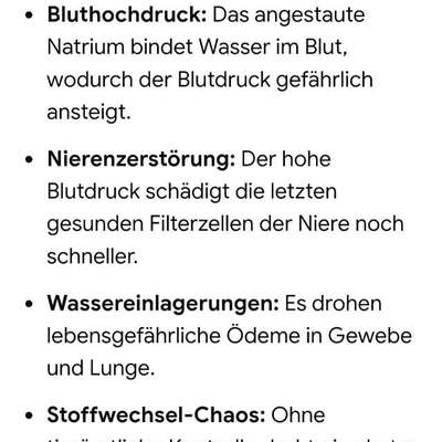 Sodbrennen bei Niereninsuffiziens-Beitrag-Bild