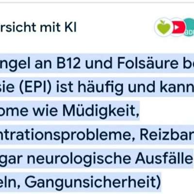 Vegdog Trockenfutter - vegane Ernährung?-Beitrag-Bild