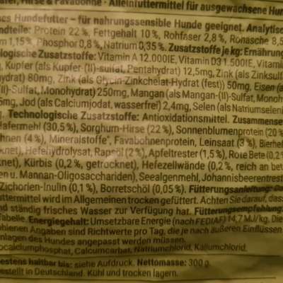 Vegdog Trockenfutter - vegane Ernährung?-Beitrag-Bild