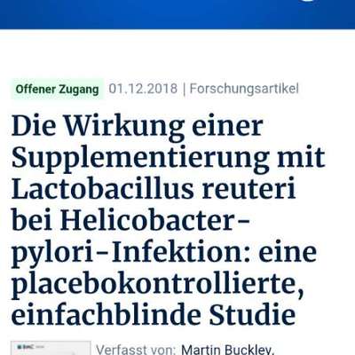 Internistischer Tierarzt mit Erfahrung bei Helicobacter gesucht-Beitrag-Bild