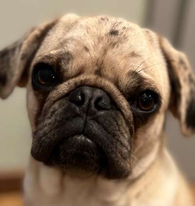 Fotochallange Nr. 57     PORTRÄT.   Beendet!!!!!!!!-Beitrag-Bild