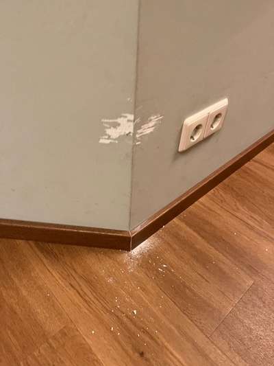 Zeig mir, dass du mit einem hund zusammenlebst....-Beitrag-Bild