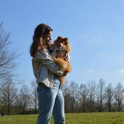 Hundetreffen-Leinenbegegnungen üben/Social Walks-Profilbild