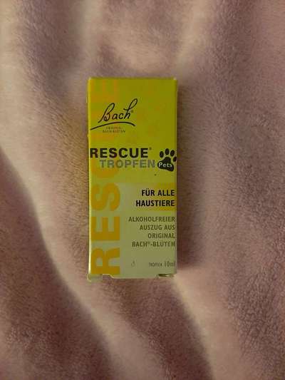 Silvester - Mittel zur Beruhigung-Beitrag-Bild