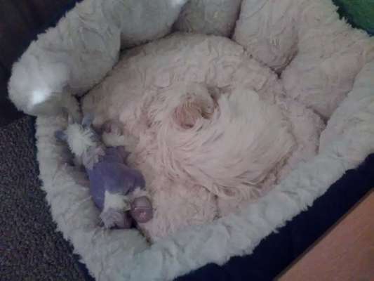 Erstes Bild-Beitrag-Bild