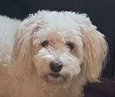 Fotochallange Nr. 57     PORTRÄT.   Beendet!!!!!!!!-Beitrag-Bild