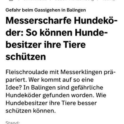 Giftköder-Fleischroulade mit Messerklingen-Bild