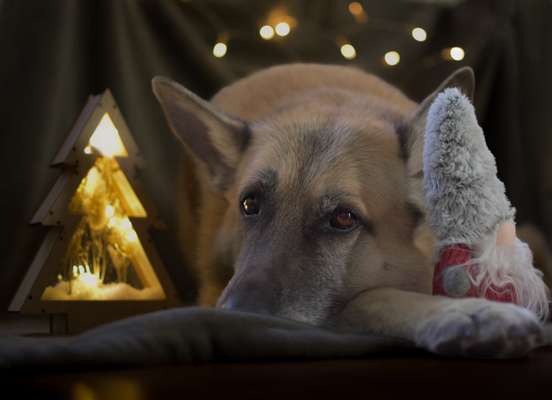 Austausch zur Fotografie-Beitrag-Bild