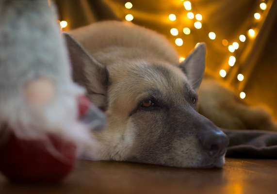 Austausch zur Fotografie-Beitrag-Bild
