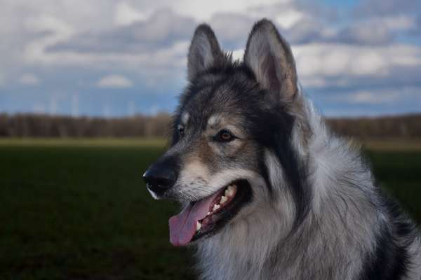 Austausch zur Fotografie-Beitrag-Bild