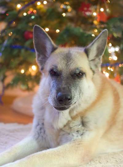 Austausch zur Fotografie-Beitrag-Bild