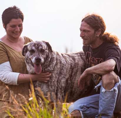 Die Dogorama Kalender Challenge Titelbild-Beitrag-Bild