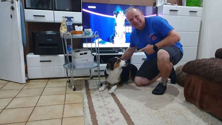 Top Dog-der Live Ticker Thread-Beitrag-Bild