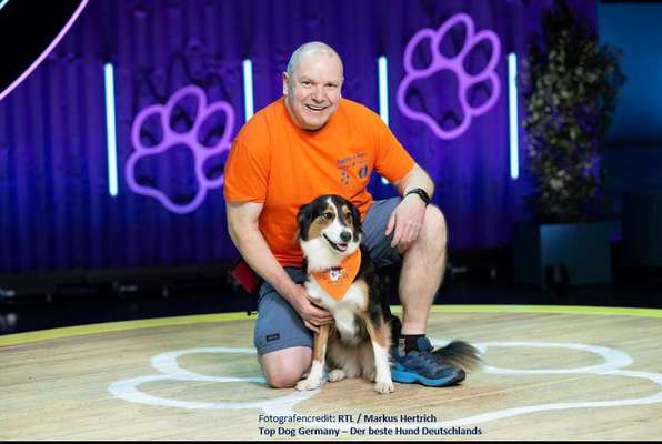 Top Dog-der Live Ticker Thread-Beitrag-Bild