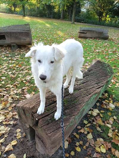 Herbst🍁-Beitrag-Bild