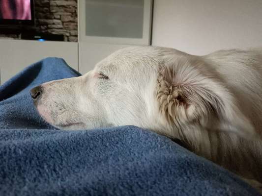 Zeigt eure Portraits-Beitrag-Bild