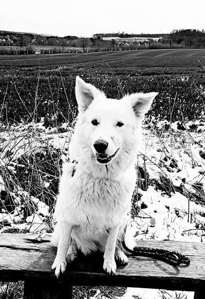 Foto-Challenge 76: Foto in Schwarz-Weiss-Beitrag-Bild