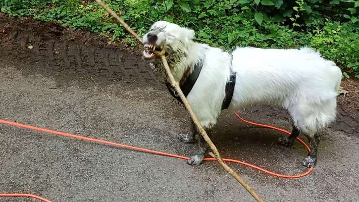 26. Handy Foto Challenge-Beitrag-Bild