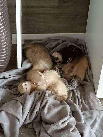 Handy-Foto-Challange Nr. 8-Beitrag-Bild