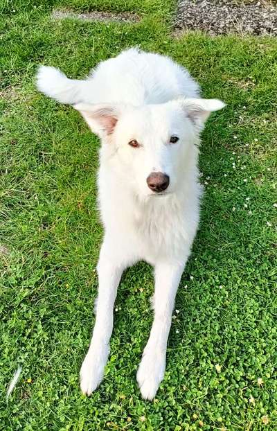 Handy-Foto Challange Nr. 10-Beitrag-Bild