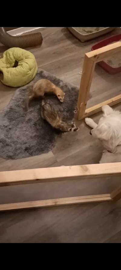 Handy-Foto-Challange Nr. 8-Beitrag-Bild