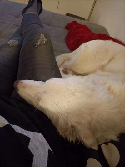 FOTOCHALLENGE NR.54-,,Liebesbeweis"-Beitrag-Bild