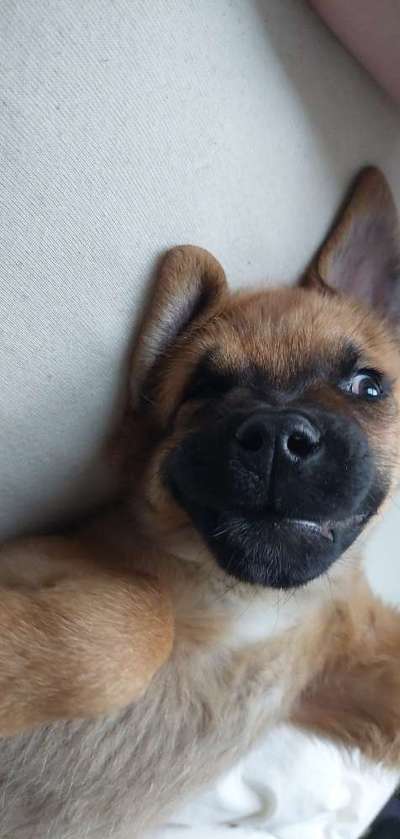 Lieblingsbild :D-Beitrag-Bild