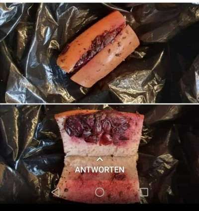 Giftköder-Giftköder-Bild