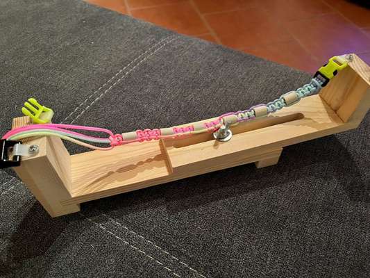 Rhodesian Ridgeback-Beitrag-Bild