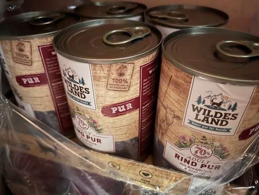 Rhodesian Ridgeback-Beitrag-Bild