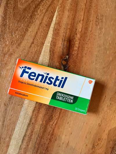 Rhodesian Ridgeback-Beitrag-Bild