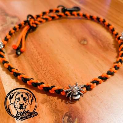 Rhodesian Ridgeback-Beitrag-Bild