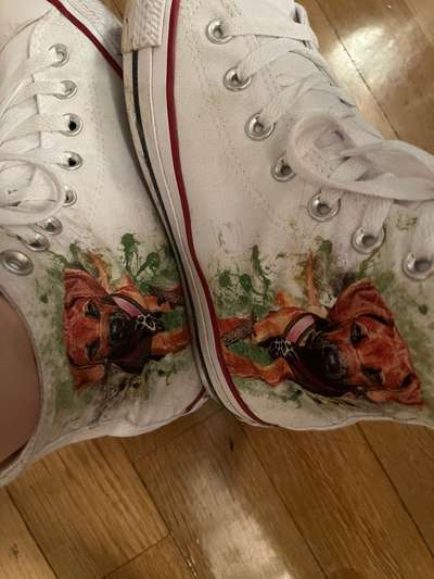 Rhodesian Ridgeback-Beitrag-Bild