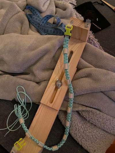 Rhodesian Ridgeback-Beitrag-Bild