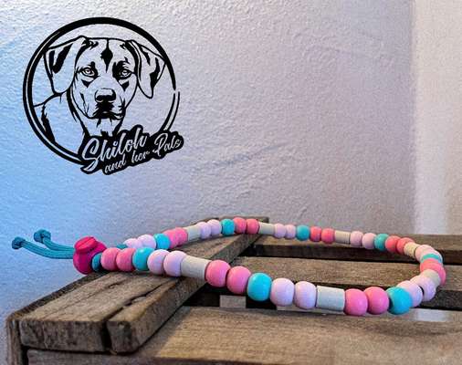 Rhodesian Ridgeback-Beitrag-Bild