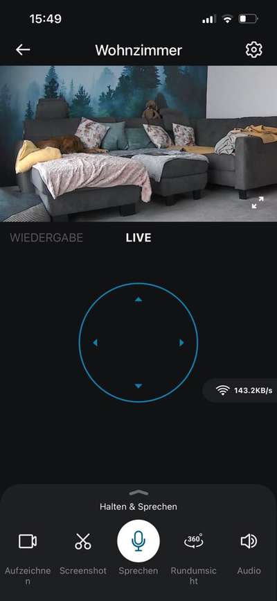 Rhodesian Ridgeback-Beitrag-Bild