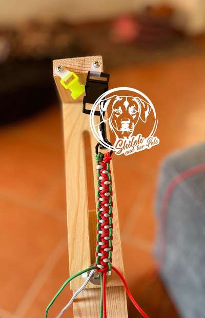 Rhodesian Ridgeback-Beitrag-Bild