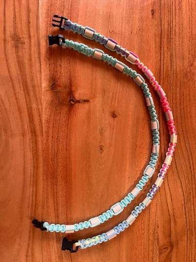 Rhodesian Ridgeback-Beitrag-Bild