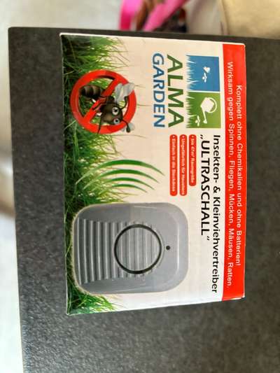 Rhodesian Ridgeback-Beitrag-Bild