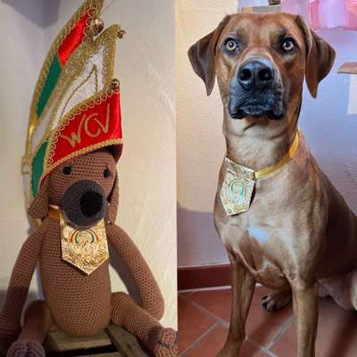 Rhodesian Ridgeback-Beitrag-Bild