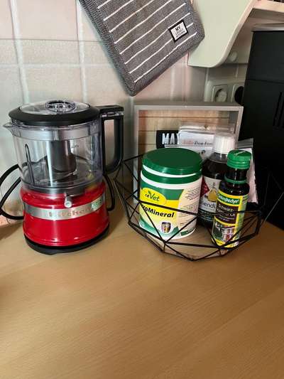 Rhodesian Ridgeback-Beitrag-Bild