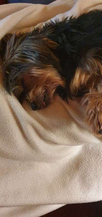 Schlafzeit!💖-Beitrag-Bild