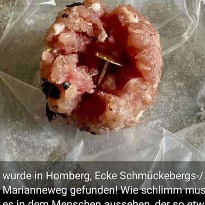 Giftköder-Mit Reißzwecke gefülltes Hackfleisch-Bild