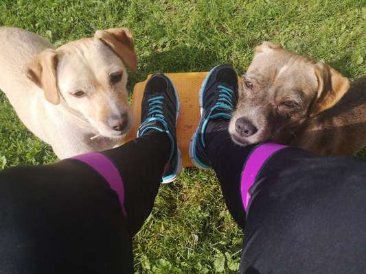 Bester Freund, Hundekumpel - zeigt her!-Beitrag-Bild